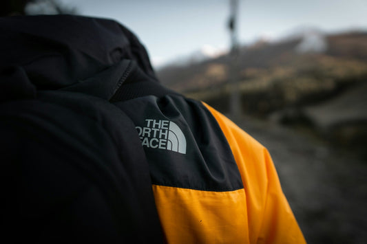 How to Style a North Face Puffer Jacket Easy Winter Outfit Ideas